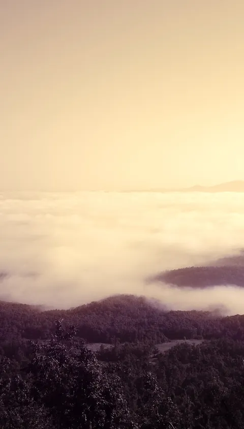 A sea of cloud over hills at dawn