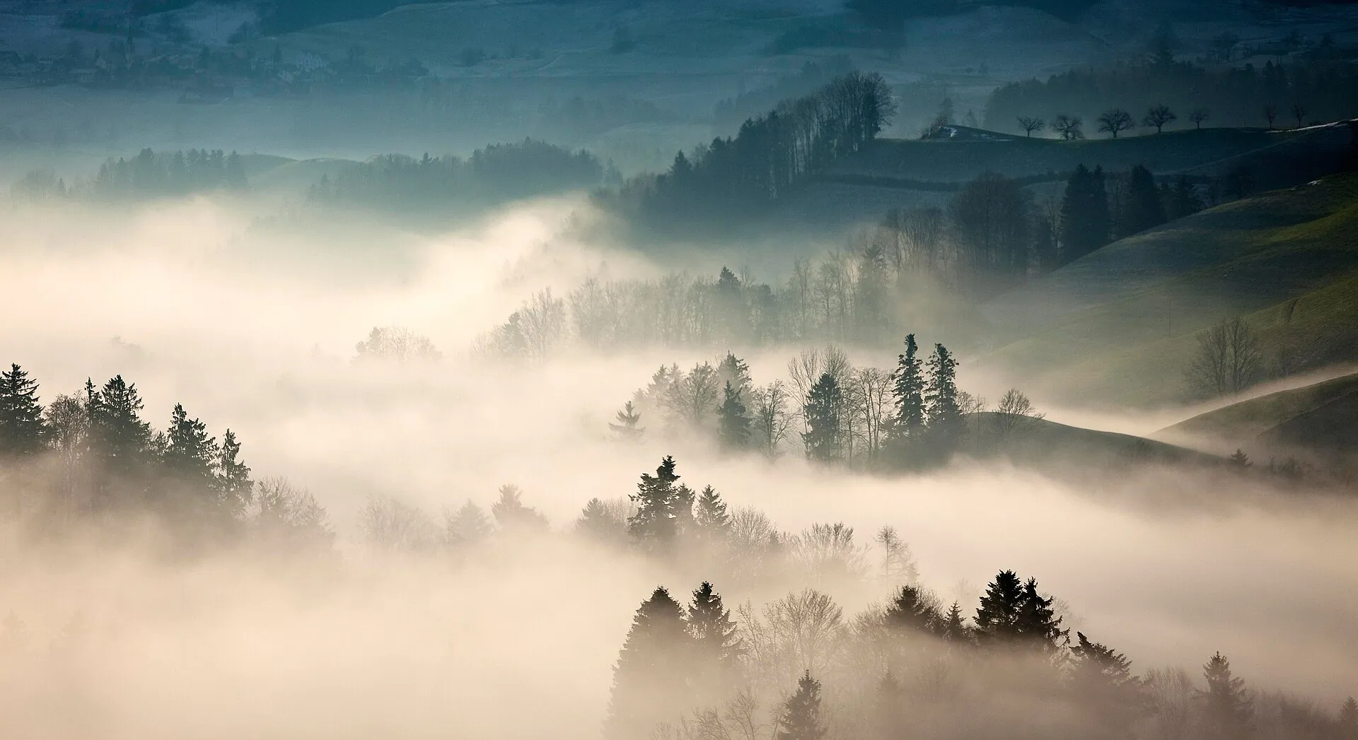 Fog lying over wooded hills at first light